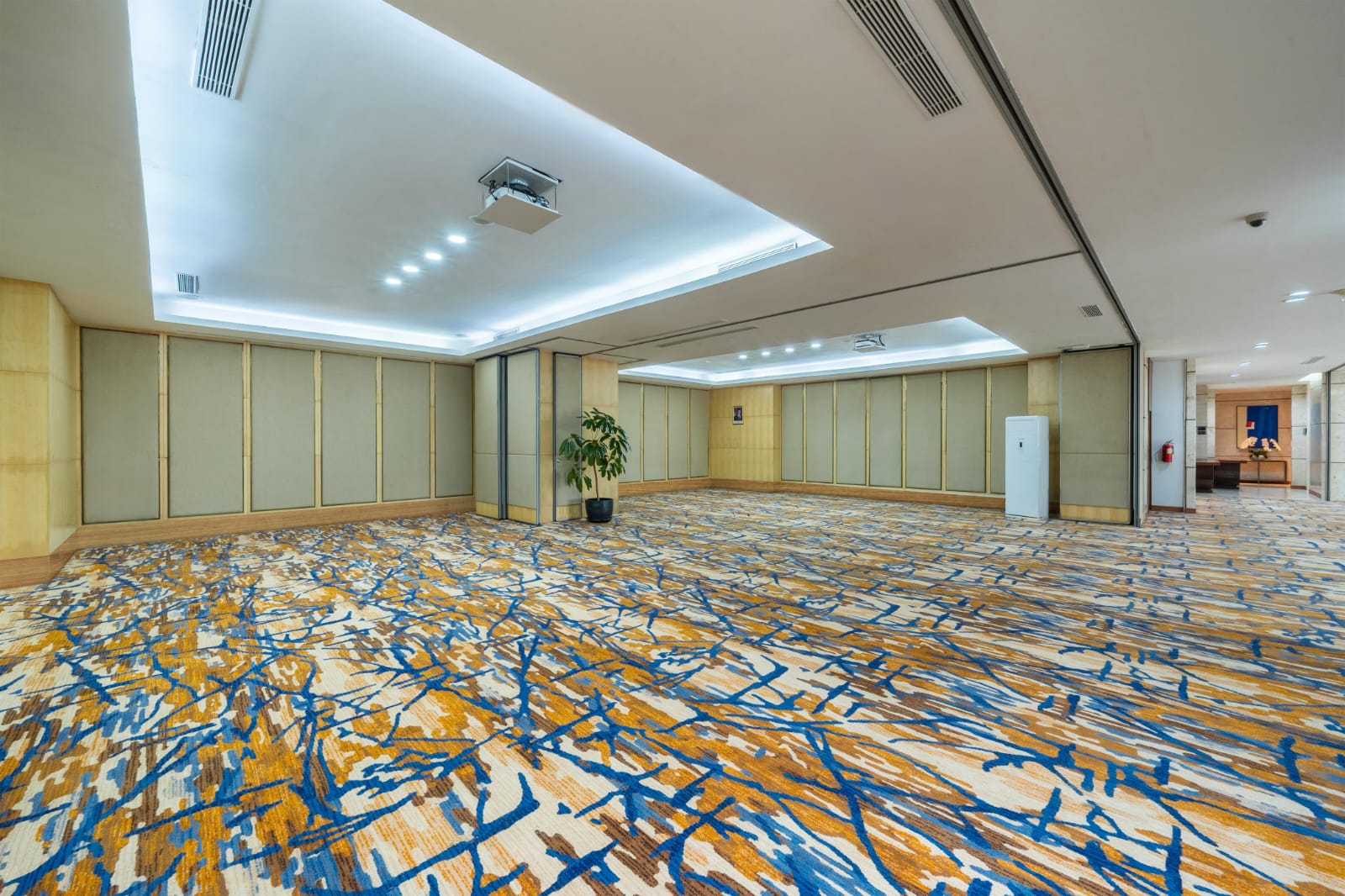 WhatsApp Image 2025-08-08 at 20.05